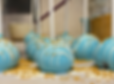 IMG_3249.PNG