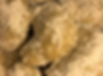IMG_3764.PNG